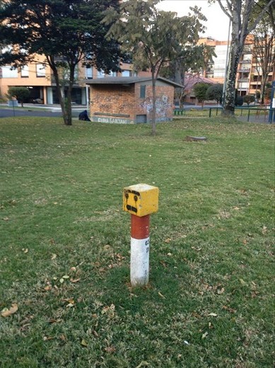 A little touch up job on a concrete post 