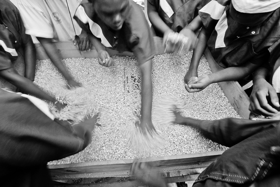 Students of eductional center 'Irebero' getting rid of the dirt or bad maïze.
They shake and handpick the bad ones out of it. 
It makes a lot of dust which isn't healthy, but there was only 1 mouth protection.
Most of the students used a scarf to cover their mouth and nose.