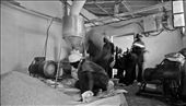 These students were milling the maïze to flour. The actual end product.
This machine was build by one of the teachers and you will only find one in whole Gisenyi.
: by grarvdb, Views[284]