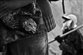 A rooster thrown by the Hindunese to the crater of Bromo Mt as an offering is being caught by people. Livestocks and other Harvests are being thrown as an offering to the Sang Hyang Widhi as part of the Kasada Ceremony in Mt. Bromo, East Java, Indonesia.: by graver_dusk, Views[663]