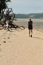 On the beach, Ishigaki: by graynomadsusa, Views[375]