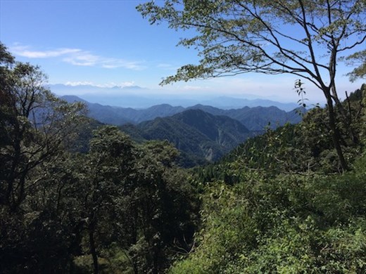 An Unexpected Taiwan, Daxueshan National Forest