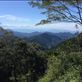 An Unexpected Taiwan, Daxueshan National Forest Views[353]