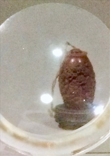 A closer look, National Palace Museum