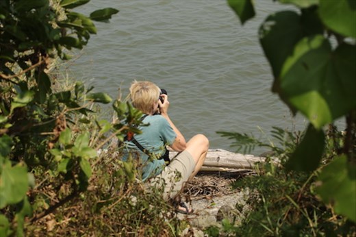 A closer look, Black-faced Spoonbill Reserve