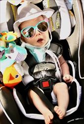 Glam'd up for a walk in the sun: by graynomadsusa, Views[359]