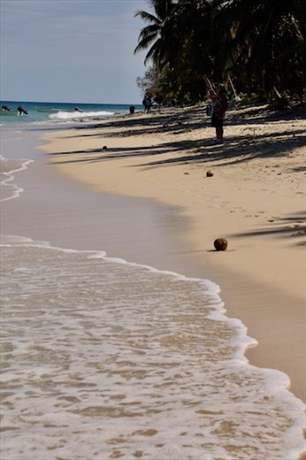 Sun and sand—and not much else, Dravuni 