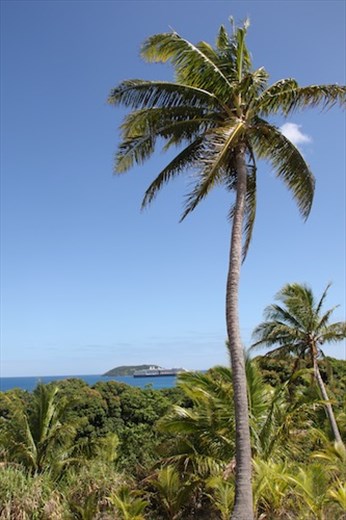 One man's paradise is another's coconut, Dravuni 