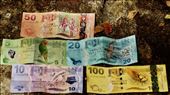 Colorful Fiji money: by graynomadsusa, Views[1030]
