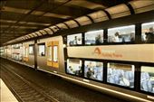 Sydney airport train: by graynomadsusa, Views[306]