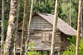 Paradise isn't all it's cracked up to be, Alotau PNG: by graynomadsusa, Views[334]