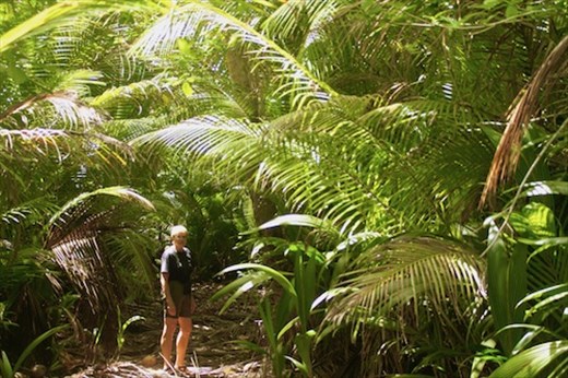 On the trail, Conflict Island, PNG