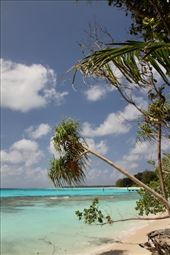 This is Paradise, Conflict Island, PNG: by graynomadsusa, Views[347]