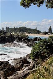 Mauao Historic Track, Tauranga: by graynomadsusa, Views[263]
