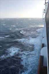 White Horses near Hobart: by graynomadsusa, Views[367]