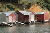Boat houses, Stewart Island: by graynomadsusa, Views[323]