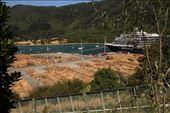 Lumber is a major NZ export, Picton: by graynomadsusa, Views[347]