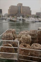 Hobart port, Tasmania: by graynomadsusa, Views[307]