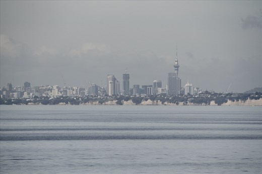 Auckland Harbor from Noordam