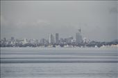 Auckland Harbor from Noordam: by graynomadsusa, Views[782]