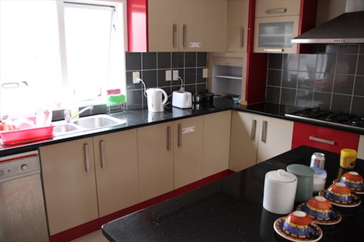 Hardly Sunny: Sharing kitchen with the owner too