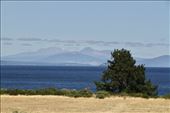 Lake Taupo: by graynomadsusa, Views[689]