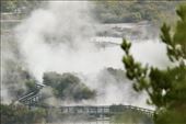 Looking down on Rotorua, Whakarewarewa Forest: by graynomadsusa, Views[280]