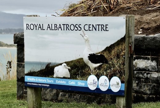 Royal Albatross Centre