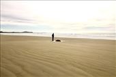 Moeraki Boulders: by graynomadsusa, Views[775]
