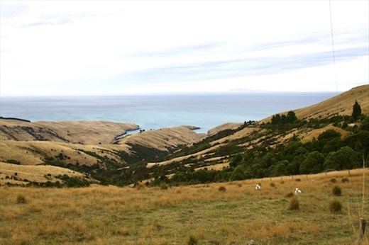 Banks Peninsula