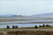 It's out there somewhere, Ashley-Rakahuri Estuary: by graynomadsusa, Views[394]