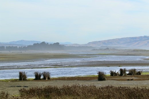 High Tide, Ashley-Rakahuri Estuary