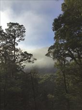 Enchanted forest: by graynomadsusa, Views[329]