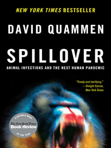 Spillover — the Next Big One