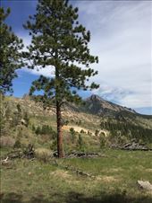 Rocky Mountain High, Eldorado Canyon: by graynomadsusa, Views[147]