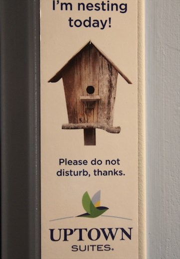 Staying at home, Uptown Suites