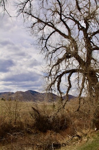 Room to roam, Highline Canal