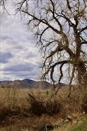 Room to roam, Highline Canal: by graynomadsusa, Views[319]