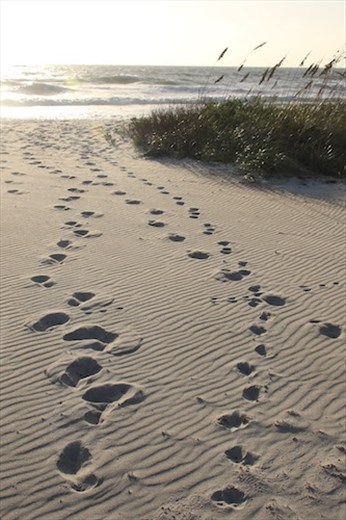 This way to the Beach
