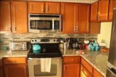 Kitchen Klutter, Royal Pelcian Condo, Fort Myers: by graynomadsusa, Views[334]