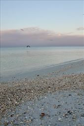 Shells at Sunrise, Fort Myers : by graynomadsusa, Views[286]