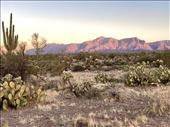 Sunrise, Superstition Mountains: by graynomadsusa, Views[946]