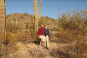 In the Sonoran Desert: by graynomadsusa, Views[317]