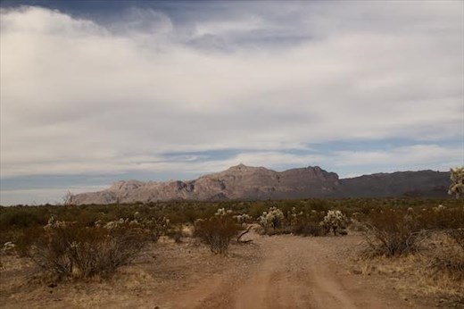 Sonoran Desert, Gold Canyon