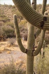 Paul waiting below: by graynomadsusa, Views[367]