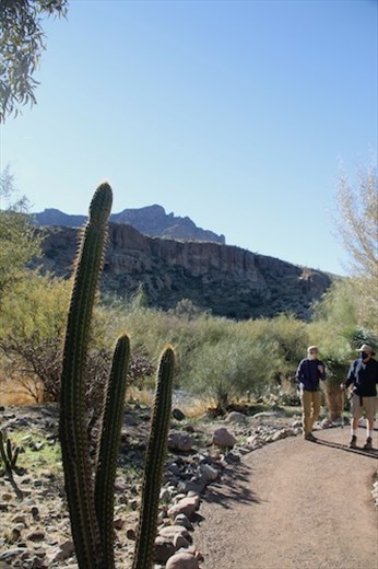 Connie and Paul, Wallace Desert Garden
