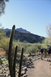 Connie and Paul, Wallace Desert Garden: by graynomadsusa, Views[814]