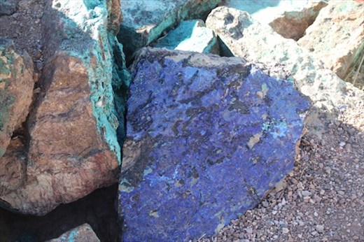 Malachite, Wallace Desert Garden