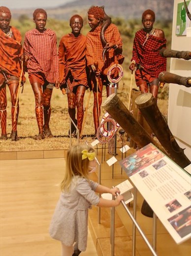 Cross Cultural, Musical Instrument Museum