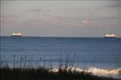 Idle cruise ships at anchor, Port Canaveral, FL: by graynomadsusa, Views[313]